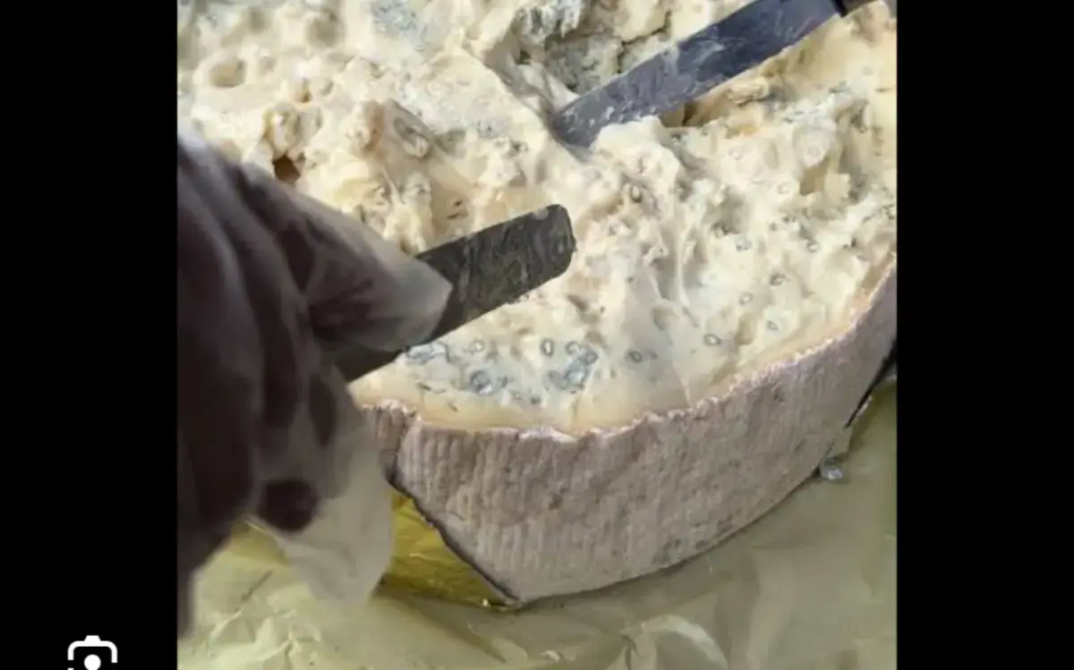Amanti del formaggio e del buon cibo, a raccolta!!