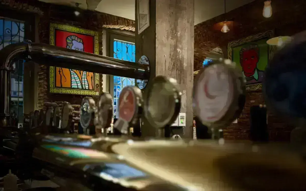 Visita guidata in birrificio,aperitivo e birra al pub vol.11