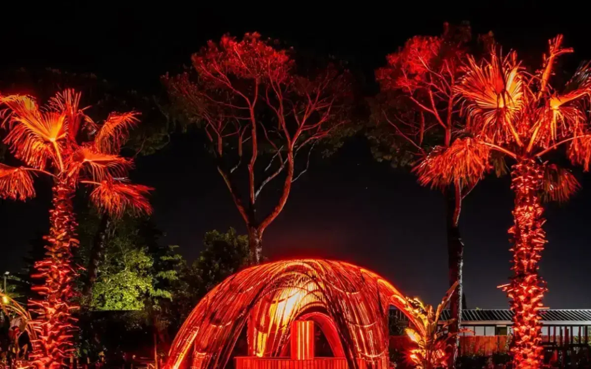 Summer night e dj set bamboo experience-Ultimo Appuntamento