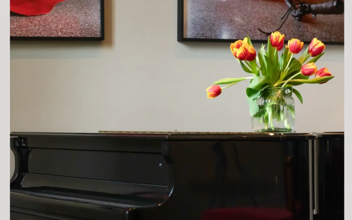 Matinée Suggestioni romantiche per violoncello e pianoforte!