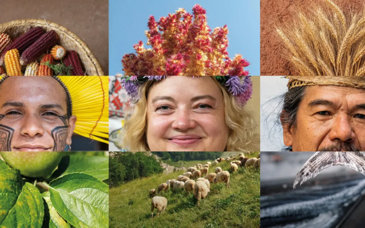 Quattro passi ..con Terra madre salone del Gusto!